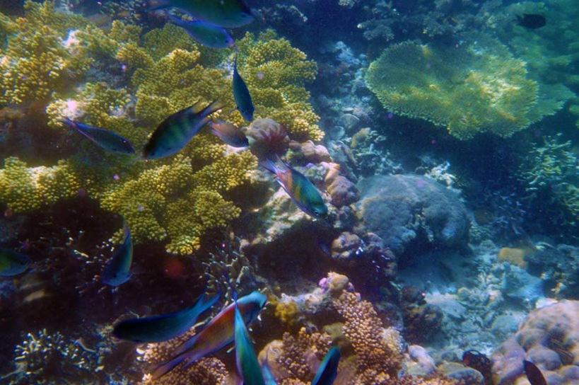 Balaibinda Lodge Coron Eksteriør bilde