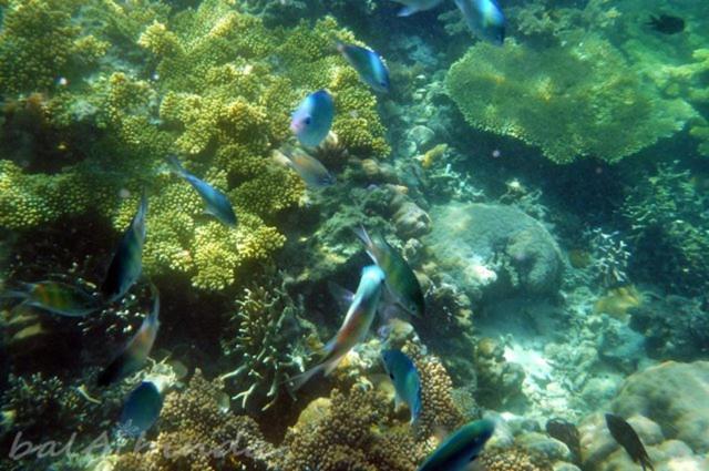 Balaibinda Lodge Coron Eksteriør bilde