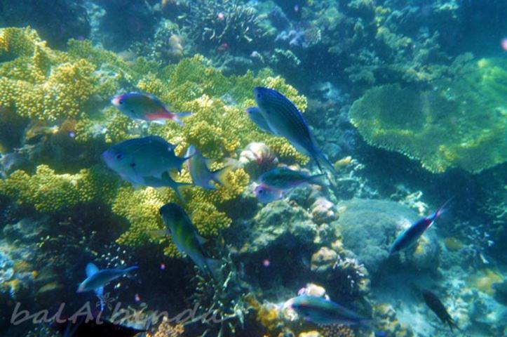 Balaibinda Lodge Coron Eksteriør bilde